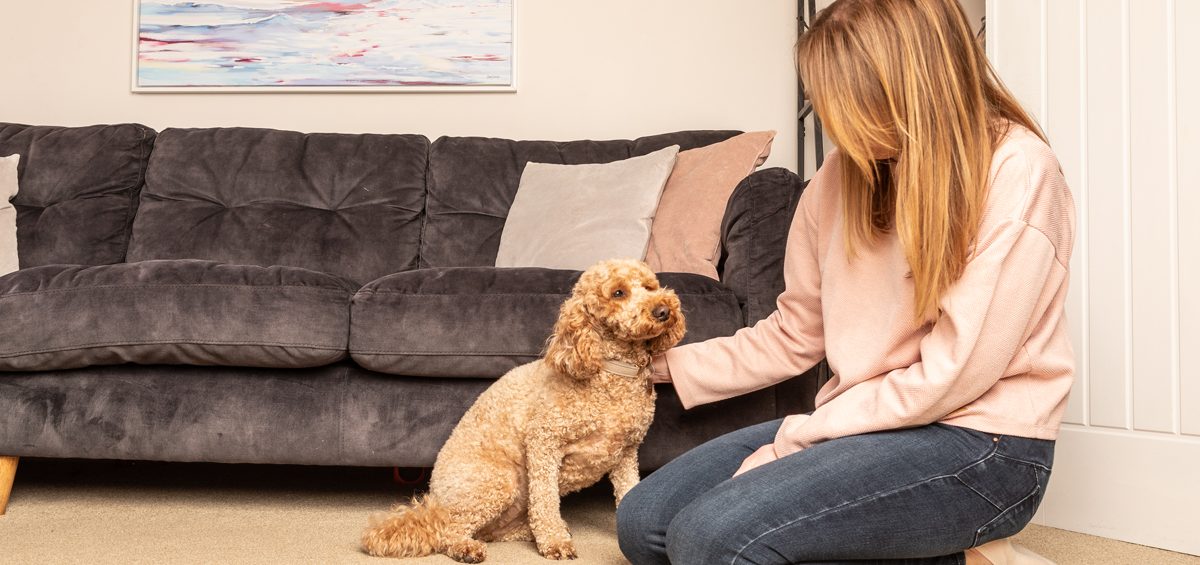 Can Professional Carpet Cleaning Remove Pet Odours Permanently?