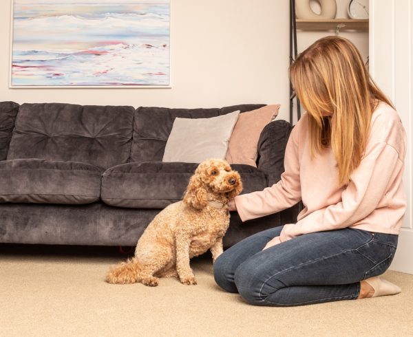 Can Professional Carpet Cleaning Remove Pet Odours Permanently?