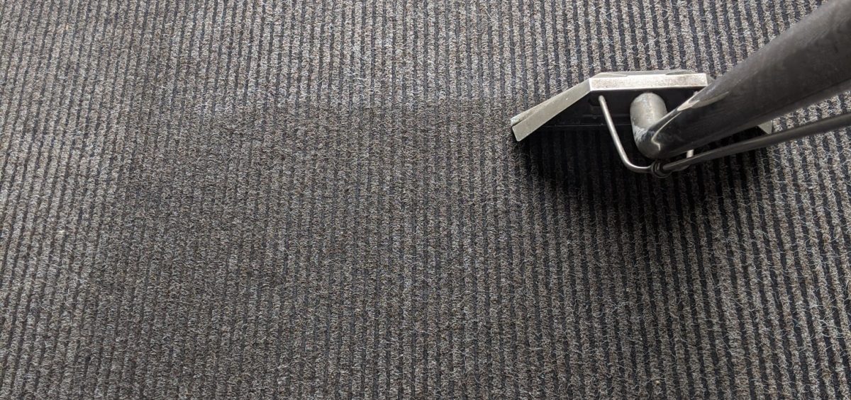 How Long Does It Take for Carpets to Dry After Professional Cleaning?