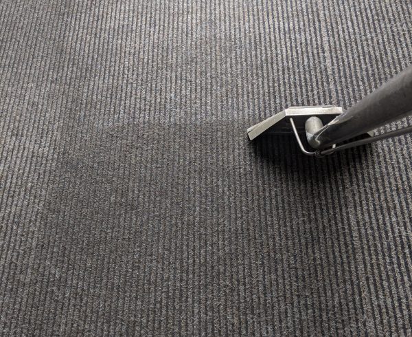How Long Does It Take for Carpets to Dry After Professional Cleaning?